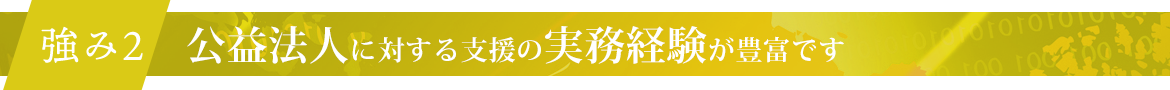 強み2　公益法人に対する支援の実務経験が豊富です